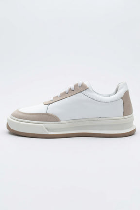 Sneaker Colorado